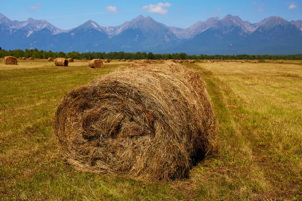 Palheiro Com Palha Num Campo Agrícola Paisagem Rural Fundo Montanhas — Fotografia de Stock