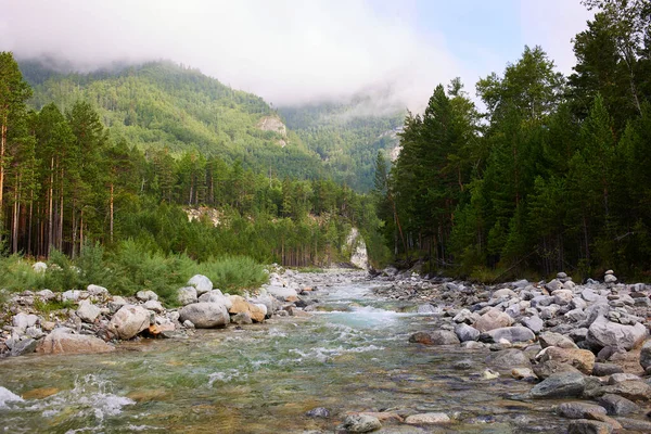 Beau Paysage Été Une Rivière Avec Courant Rapide Des Rochers — Photo