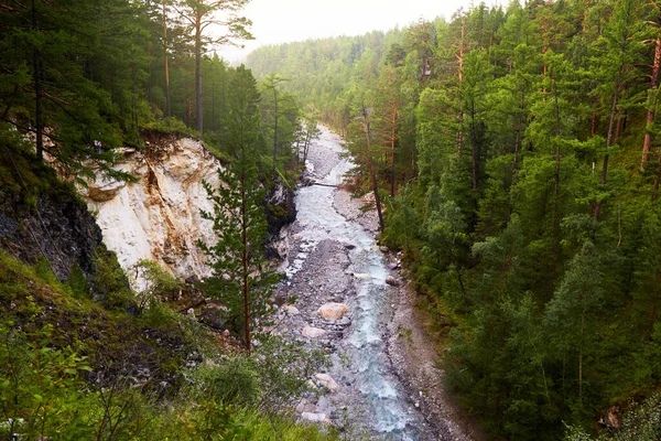 Une Rivière Qui Coule Entre Des Montagnes Couvertes Forêt Tôt — Photo