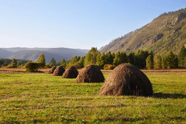 Venkovská krajina. Malebné hory, les. Haystacks na zemědělském poli v létě nebo na začátku podzimu. — Stock fotografie