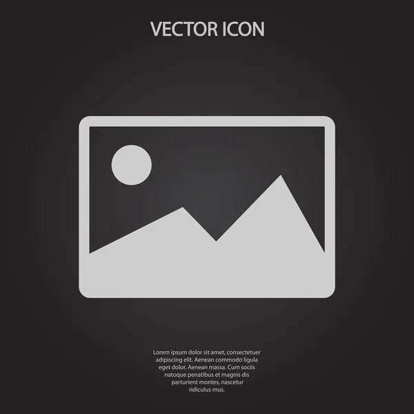 Icono de fotografía — Vector de stock