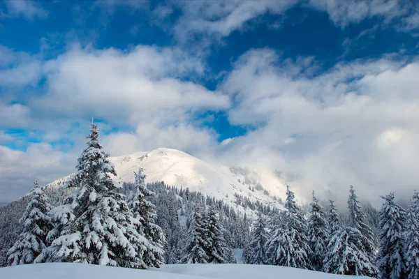 Winterberge und Nebel — Stockfoto