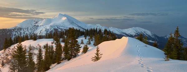 Winterberge und Nebel — Stockfoto