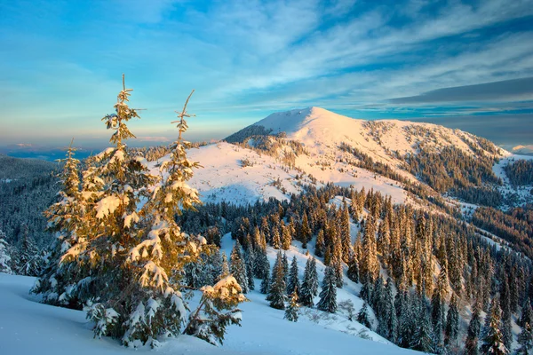 Vinter bergen och dimma — Stockfoto