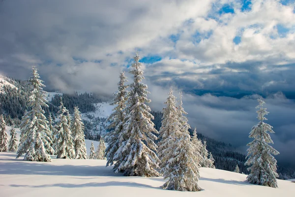 Montagne invernali e nebbia — Foto Stock