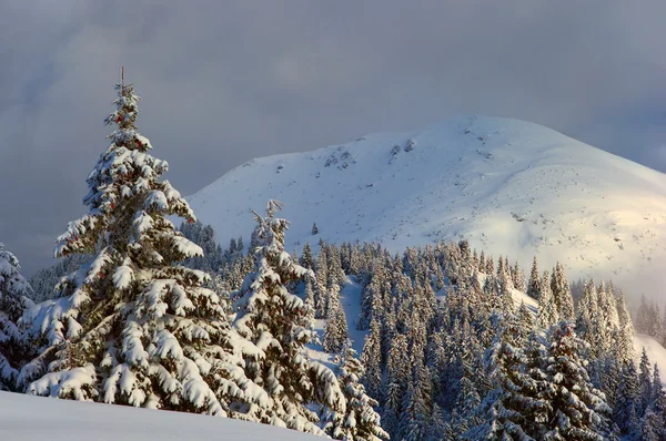 Montagnes d'hiver et brouillard — Photo