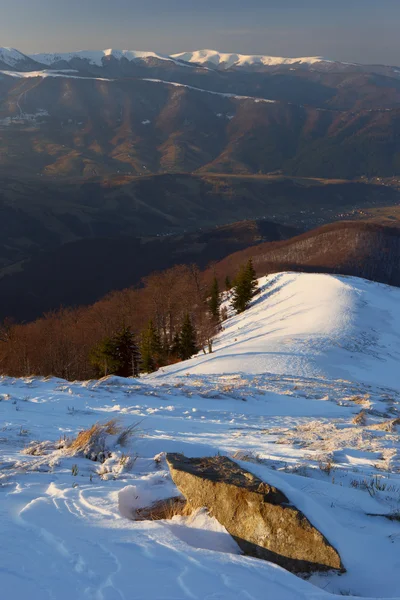 Karpat Dağları kış — Stok fotoğraf