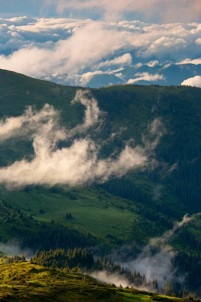 Nevoeiro após chuva nas montanhas — Fotografia de Stock