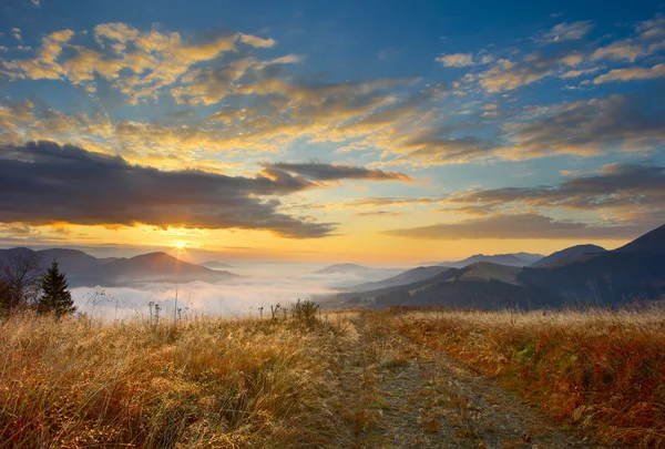 çim ve Karpatlar sunrise