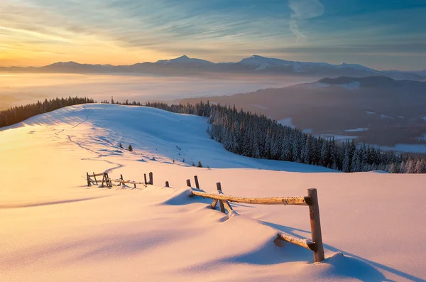 Vinter — Stockfoto