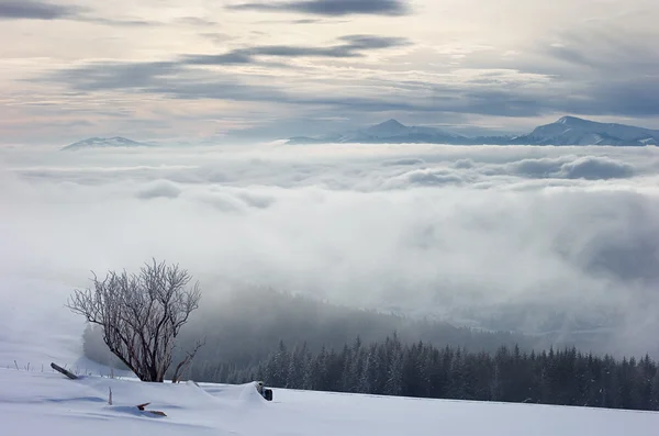 Fog in mountains — Stock Photo, Image