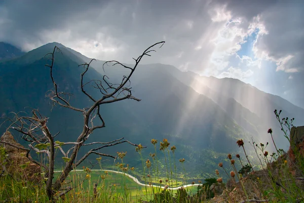 Sonnenlicht — Stockfoto