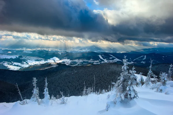 Karpaty zima — Zdjęcie stockowe