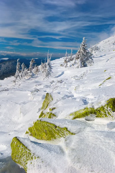 Kış Karpatlar — Stok fotoğraf