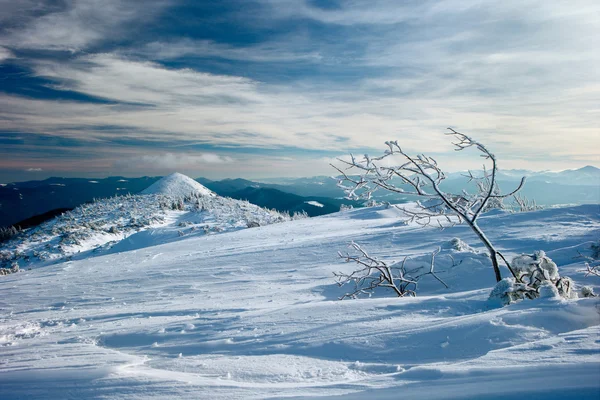 Winterkarpaten — Stockfoto