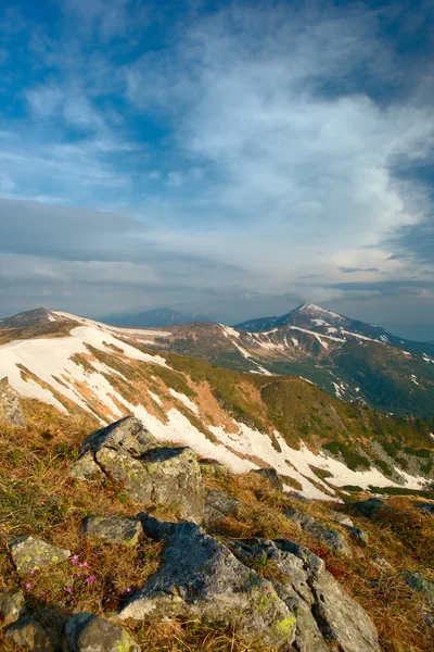 Carpathian mountains — Stock Photo, Image