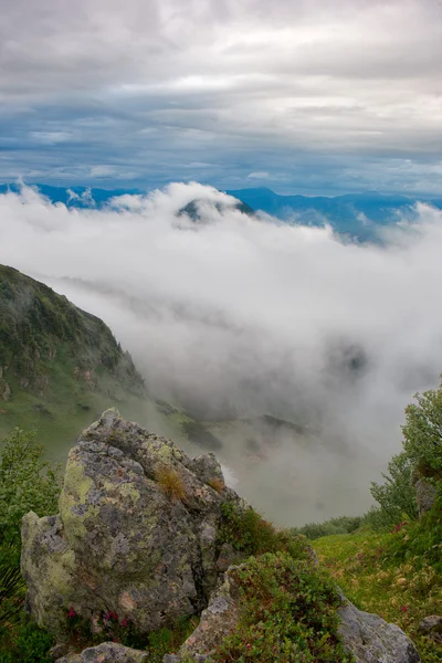 Brouillard dans les montagnes — Photo