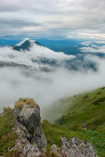 Brouillard dans les montagnes — Photo