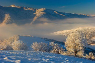 Kış Karpat Dağları