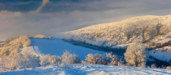 Зимние Карпаты — стоковое фото
