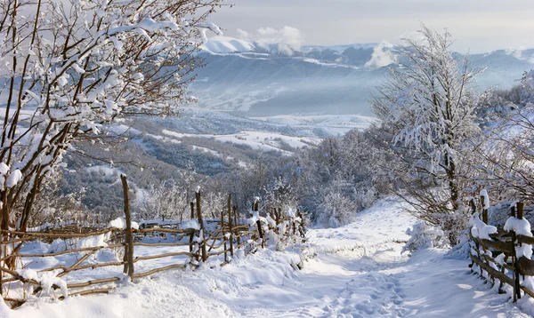 Kış Karpat Dağları