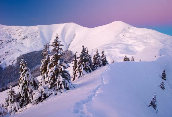 Winter Carpathian mountains — Stock Photo, Image