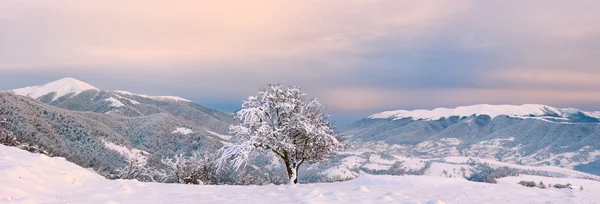 Montagne carpatiche invernali — Foto Stock