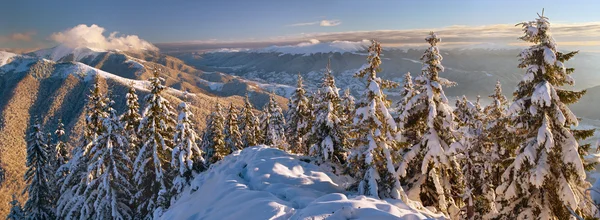 Winter Carpathian mountains — Stock Photo, Image