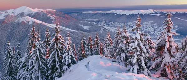 Kış Karpat Dağları — Stok fotoğraf