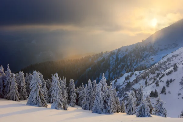 Inverno sulle montagne carpatiche — Foto Stock