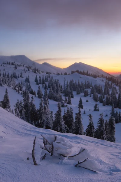 Invierno en las montañas de los carpatos — Foto de Stock