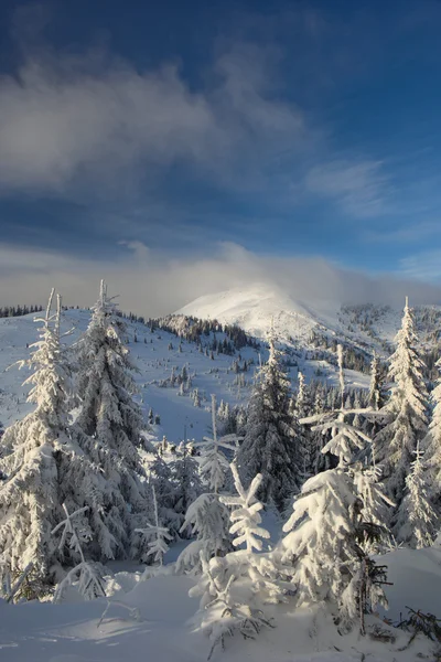 Χειμώνας στα Καρπάθια βουνά — Φωτογραφία Αρχείου