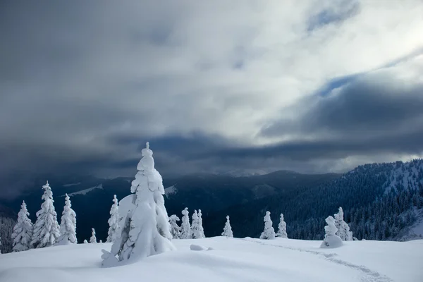 Hiver dans les montagnes des Carpates — Photo