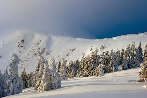 Winter in the Carpathian mountains — Stock Photo, Image