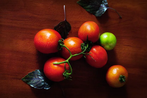 Pomodori e insalata fresca — Foto Stock