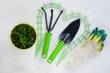 Beyaz arka planda bahçe aletleri, düz döşeme, telif alanı, üst görünüm. Hobi anlayışı, ilkbahar, bahçe bakımı, peyzaj, bitki nakli, evde bahçe işleri..