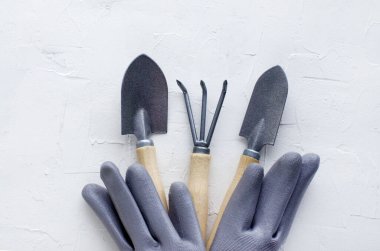 Beyaz arkaplanda bahçıvanlık araçları, düz yatış, metin kopyalama, üst görünüm. Bitki bakım gereçleri. Hobi anlayışı, ilkbahar, bahçe bakımı, peyzaj, bitki nakli, çiçekçi.