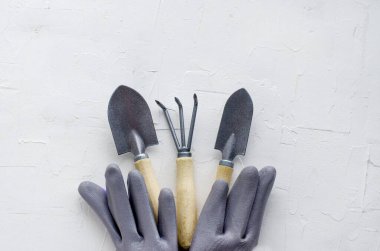 Beyaz arkaplanda bahçıvanlık araçları, düz yatış, metin kopyalama, üst görünüm. Bitki bakım gereçleri. Hobi anlayışı, ilkbahar, bahçe bakımı, peyzaj, bitki nakli, çiçekçi.