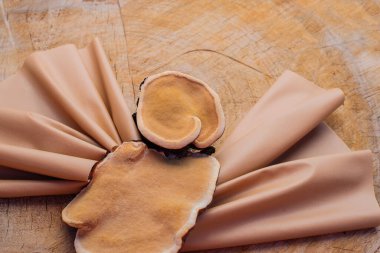 Çevre dostu kavram - kahverengi ağaç mantarları ve mantar miselyumundan alınmış vegan derisi. Hayvan derisine karşı sürdürülebilir alternatif.