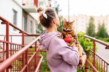 Dışarıda Bengal kedisiyle gezen bir kadın. Hayvan bakımı kavramı, koşumlu kedi, günlük yürüyüş, koşu, antrenman ve sevimli evcil hayvanlarla yapılan tüm açık hava eğlenceleri. Kız evcil hayvan sahibi kedisini taşıyor, oynuyor, kedisine aşık.