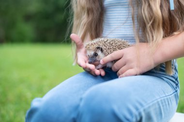 Genç beyaz kız doğada kirpi tutuyor..