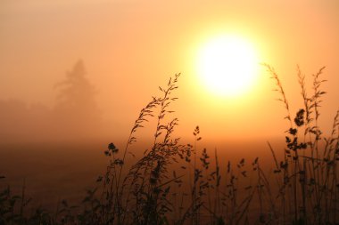 gün batımı ve ön cephede silüeti.