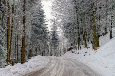 Yağlı kış yol güzel orman