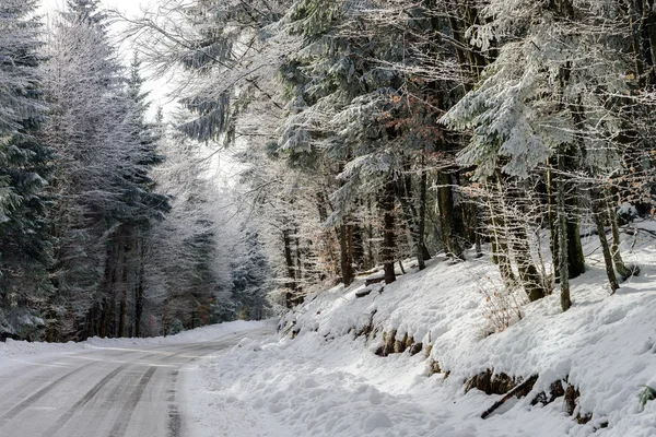 Estrada de inverno brilhante na bela floresta — Fotografia de Stock