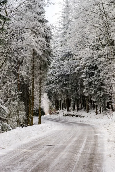 Yağlı kış yol güzel orman — Stok fotoğraf