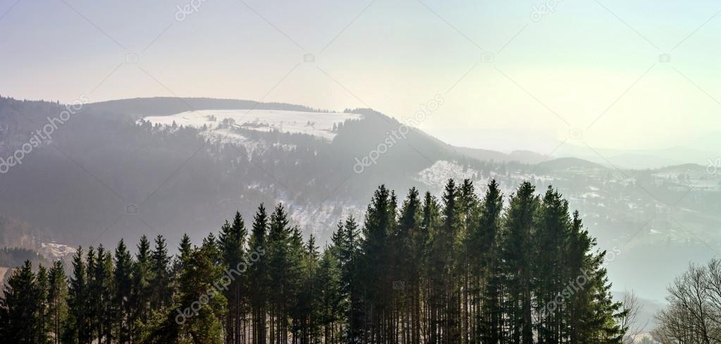 Panoramic landscape view. Vosges mountains.