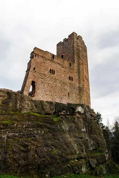 Ruinas del castillo medieval de Wangenbourg en la cima de la colina, Alsacia , — Foto de Stock