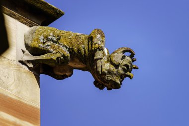 Gargoyle üzerinde Gotik Katedrali, bir kule mavi gökyüzü ba detay