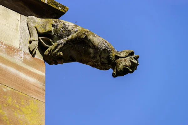 Gargoyle on a gothic cathedral, detail of a tower on blue sky ba — Stock Photo, Image