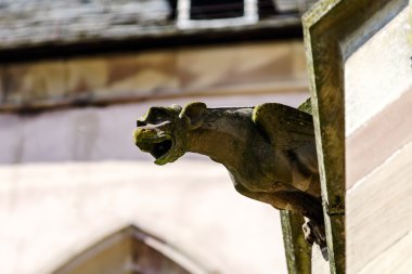 Gargoyle üzerinde Gotik Katedrali, bir kule mavi gökyüzü ba detay
